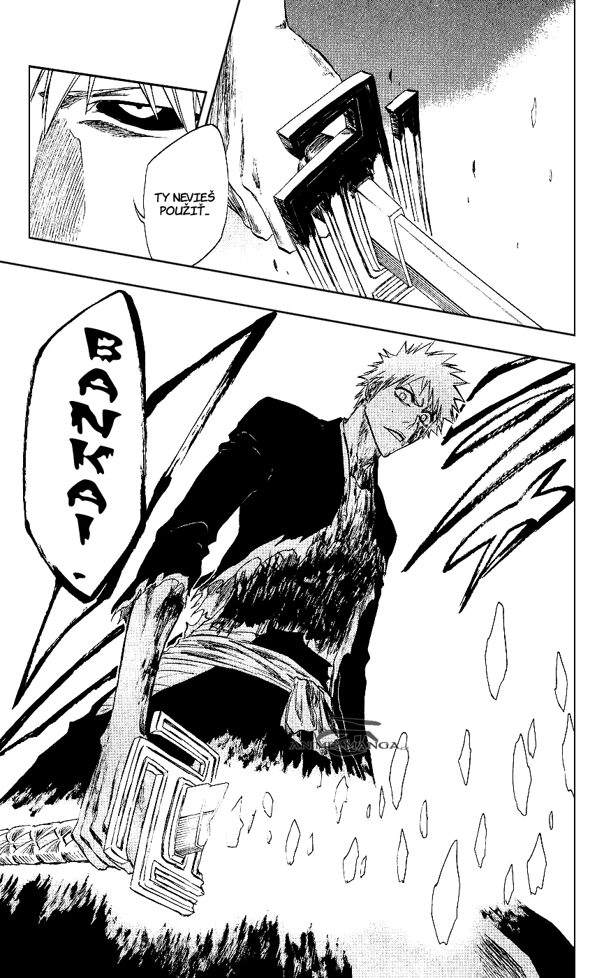 Bleach 219 17 kopie.jpg